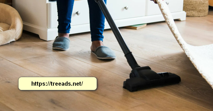 شركة تنظيف بالقطيف